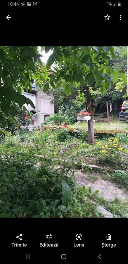 Apartament Simona Lägenhet Braşov Exteriör bild